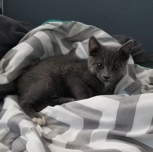 Meet your Posher, Jean pnut